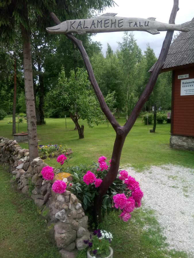 Kalamehe Farmstay Alatskivi Extérieur photo