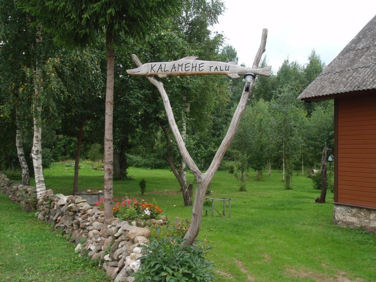 Kalamehe Farmstay Alatskivi Extérieur photo